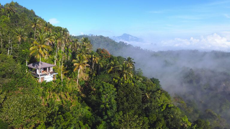 Exterior view of Aarunya Nature Resort amidst mountain and mist