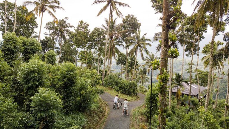 Aerial view of a couple cycling through the scenic hills at Aarunya Nature Resort