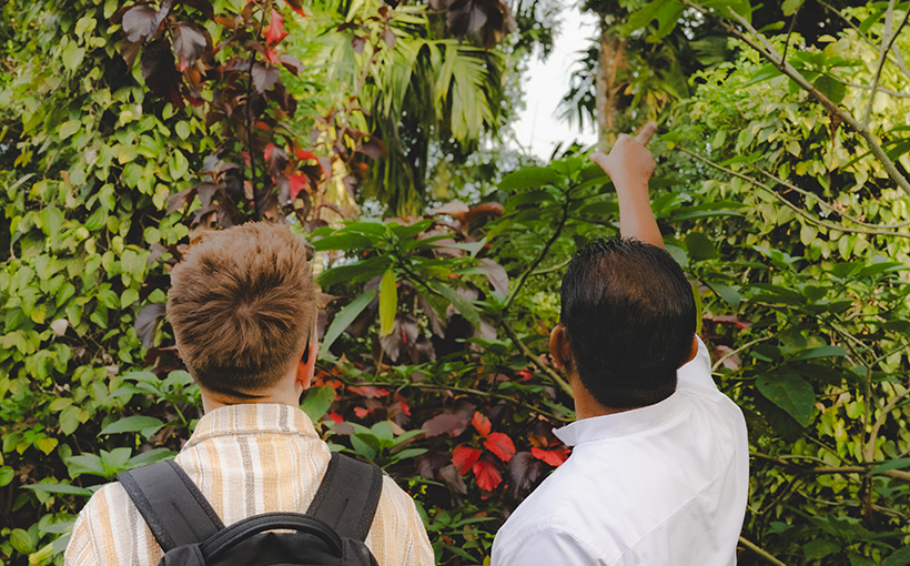 Guest enjoying bird-watching in Aarunya’s avian paradise