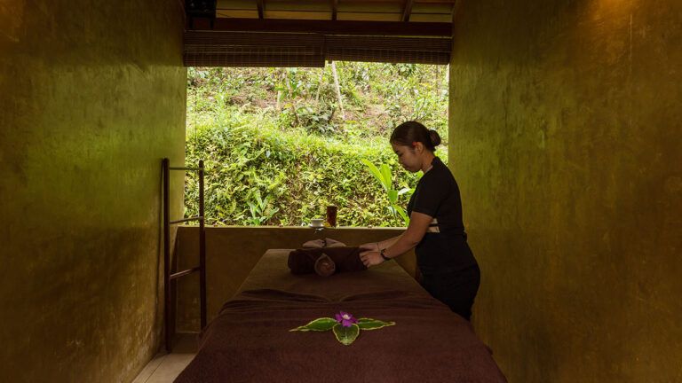 Aarogya Luxury Spa & Wellness Centre at Aarunya Nature Resort