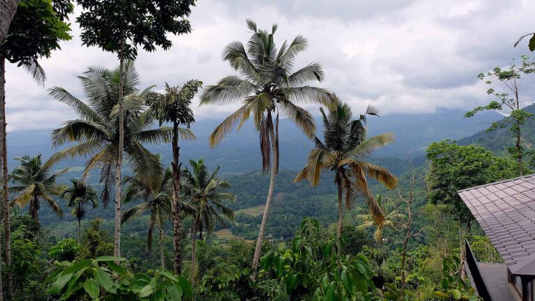 View of scenery surrounding Aarunya Nature Resort