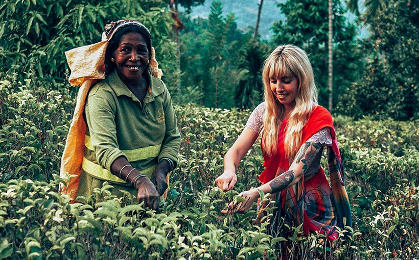 Guest learning tea plucking from a local plucker, Sri Lanka