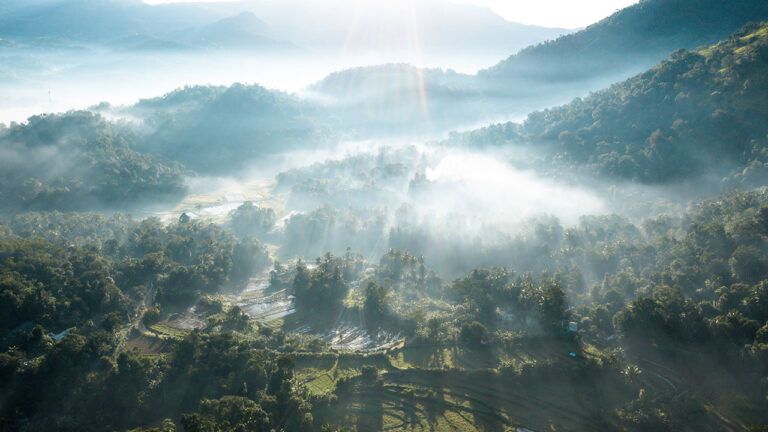 Stunning mountainous view submerged in the mist and sunlight