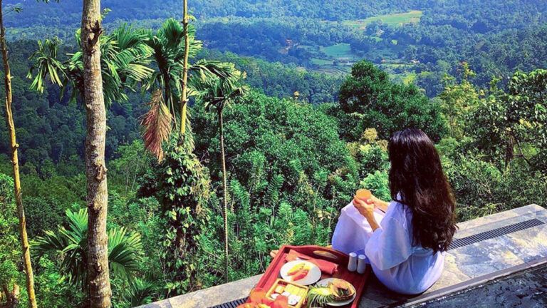 Guest enjoying nature views while having a meal by the pool at Aarunya Nature Resort