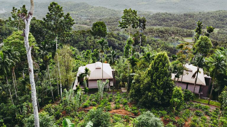 Rear aerial shot of two villas at Aarunya Nature Resort