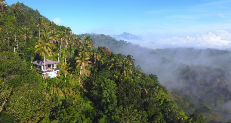 Panoramic view of Aarunya Nature Resort