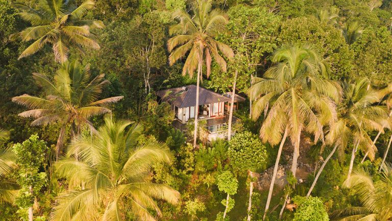 Aerial view of a villa at Aarunya Nature Resort set amongst the trees