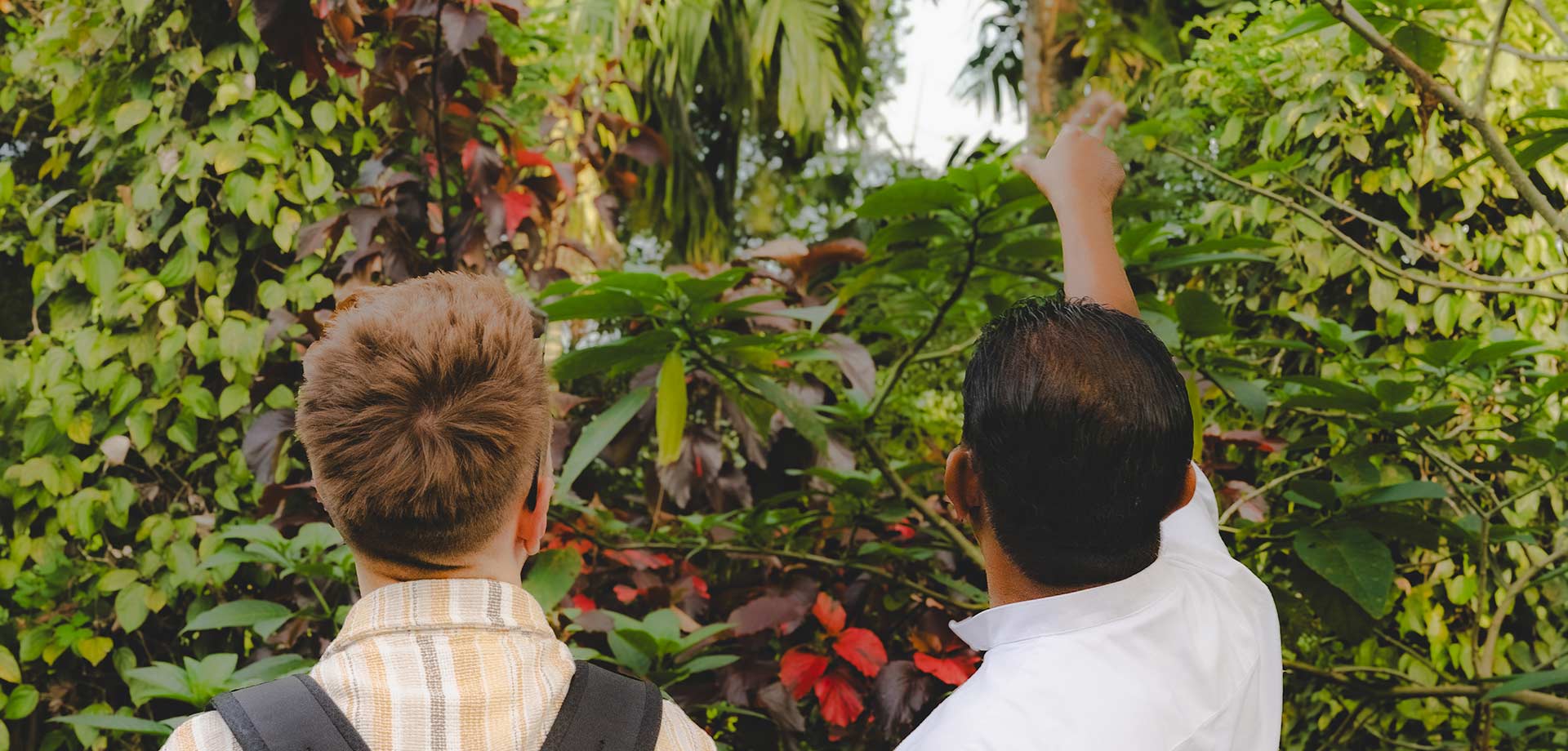 Guest enjoying bird-watching in Aarunya’s avian paradise