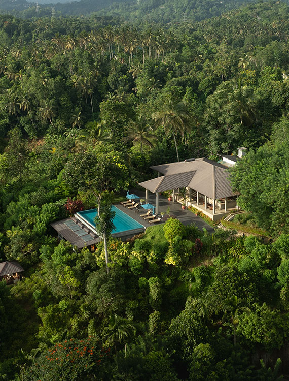 Aerial view of Aarunya Nature Resort in lush green surroundings