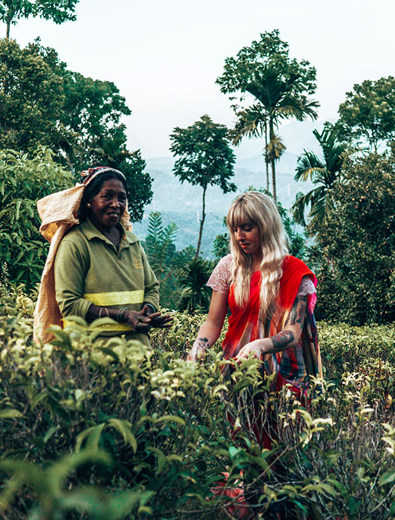 Guest learning tea plucking at Aarunya Nature Resort from a local plucker