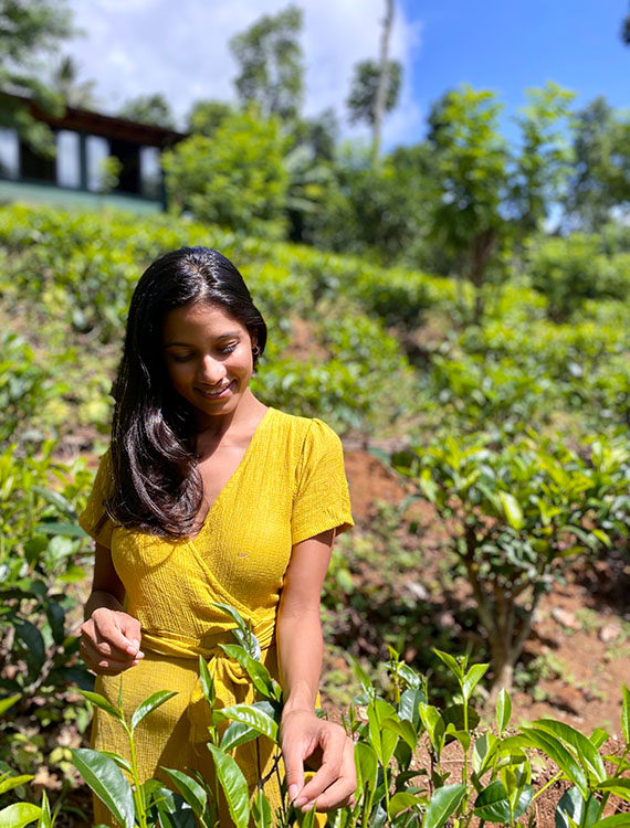 Tea plucking girl at Aarunya Nature Resort