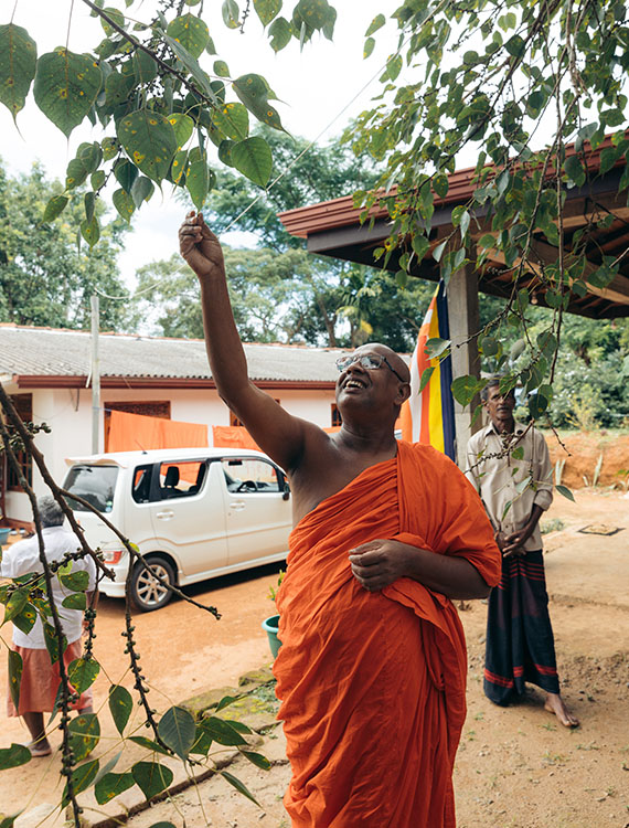 Buddhist monk under the Bo tree at Aarunya's Village Temple