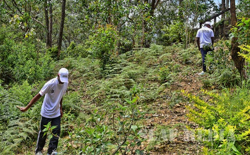 Volunteers cleaning the path to Adams Peak
