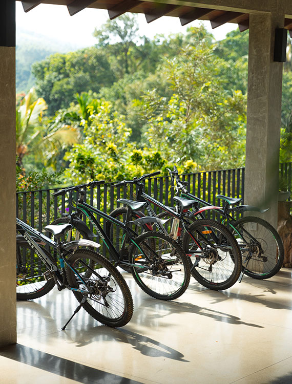 Cycles available for guests at Aarunya Nature Resort